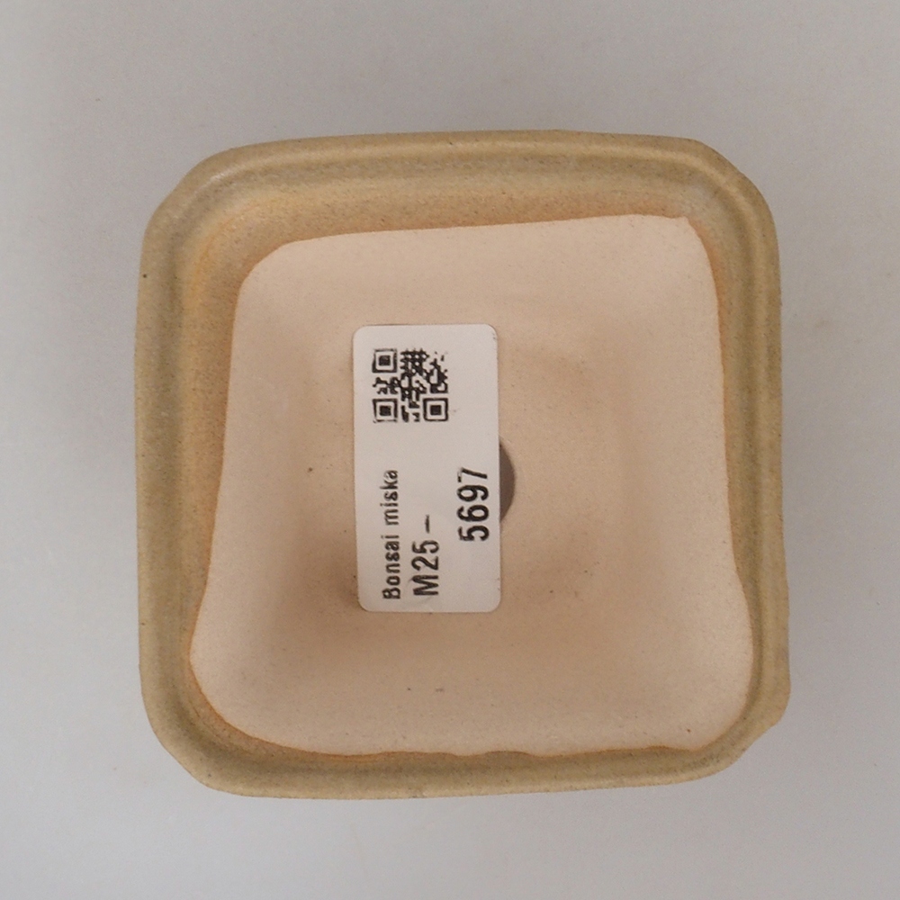 Mini bonsai 7,5 x 7,5 x 4,5 cm, marrone