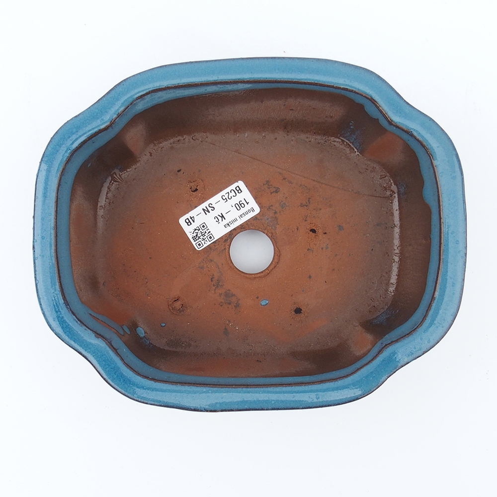 Ciotola 20 x 16 x 6,5 cm blu