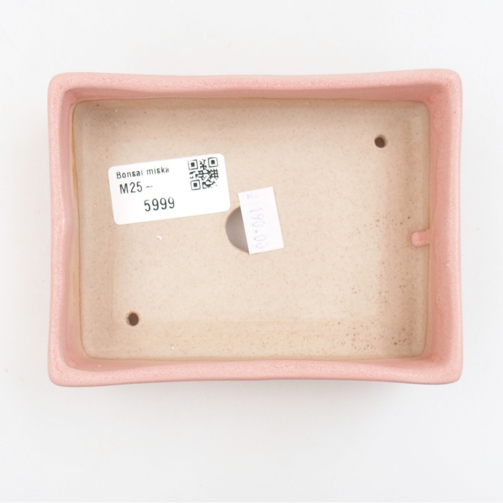 Ciotola bonsai in ceramica 22 x 17 x 5 cm, verde