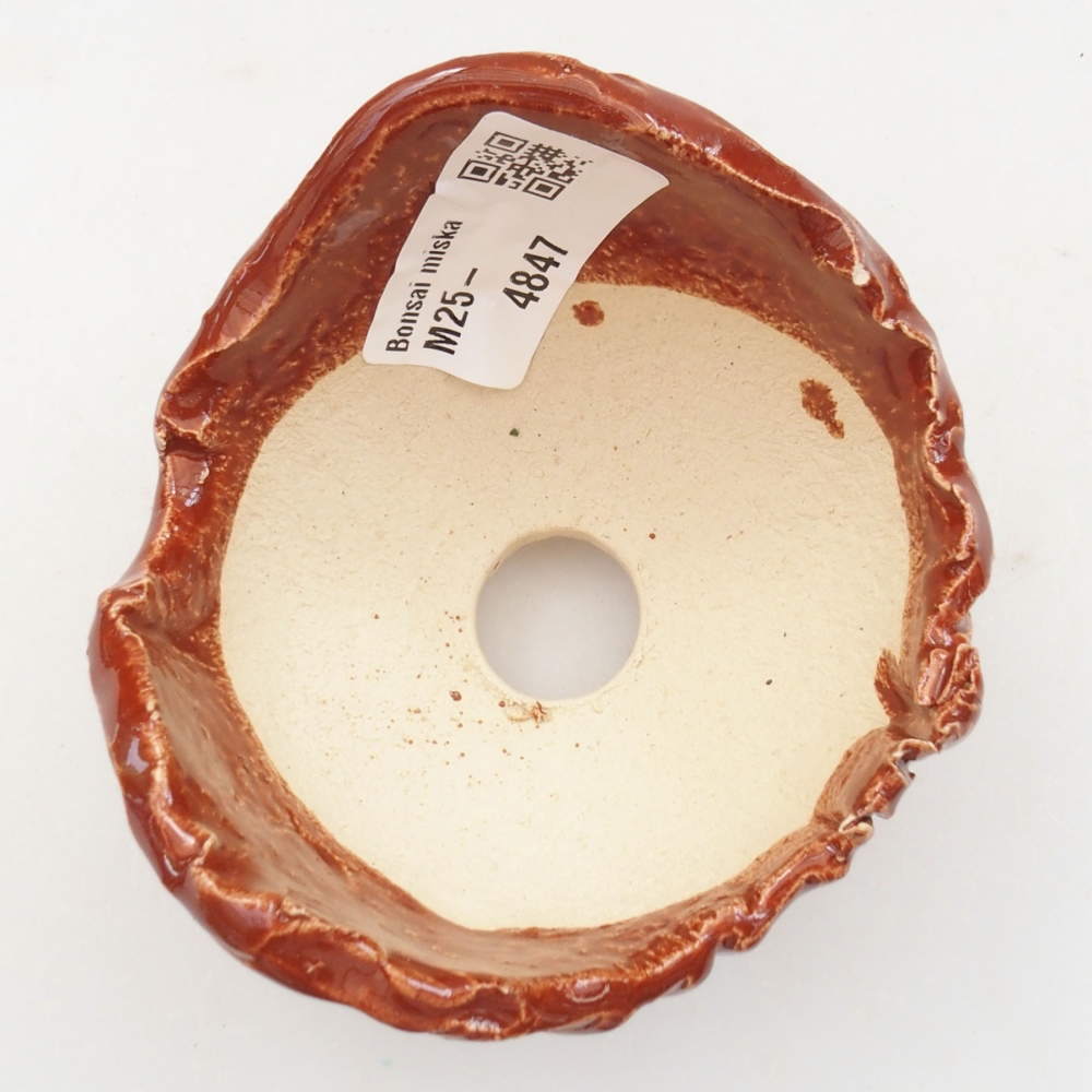 Conchiglia in ceramica 7,5 x 7,5 x 6 cm , colore marrone