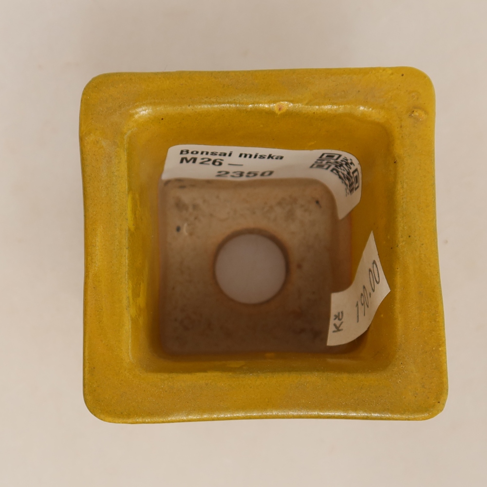 Vaso da bonsai in ceramica 6 x 6 x 5,5 cm, colore giallo