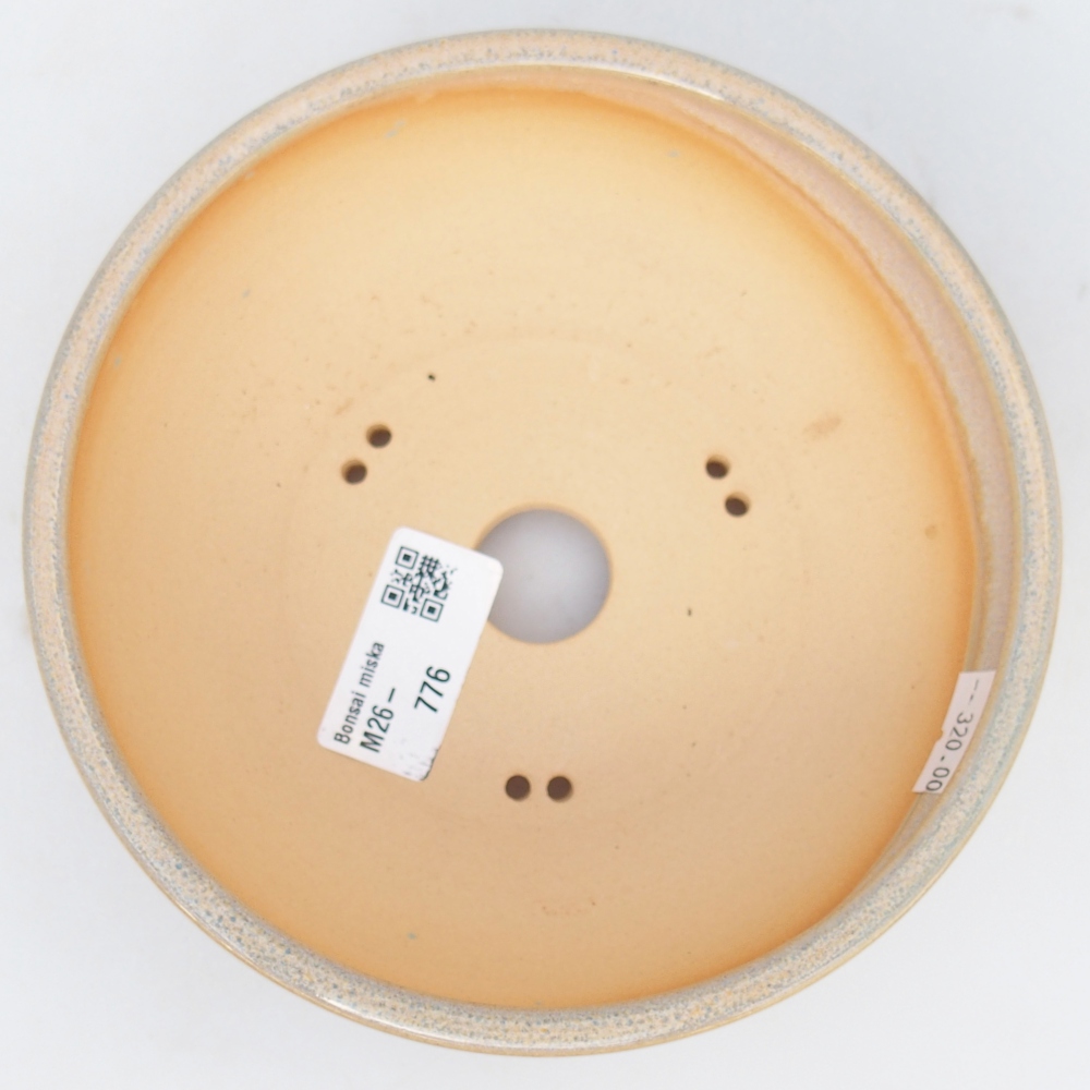 Ciotola per bonsai in ceramica 15 x 15 x 5 cm, verde-marrone