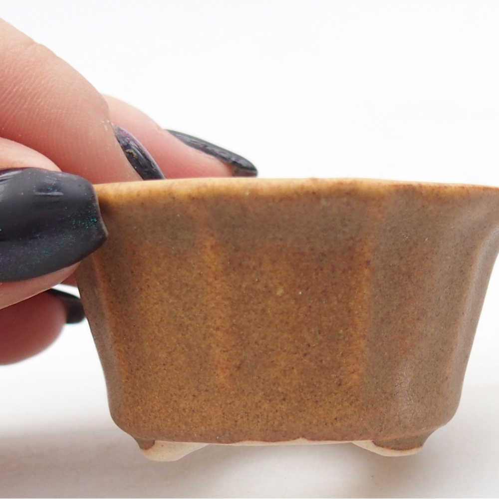 Ciotola per mini bonsai 5,5 x 5,5 x 3 cm, marrone