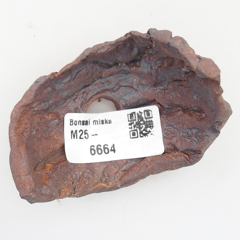 Conchiglia in ceramica 7,5 x 5,5 x 6 cm , colore marrone