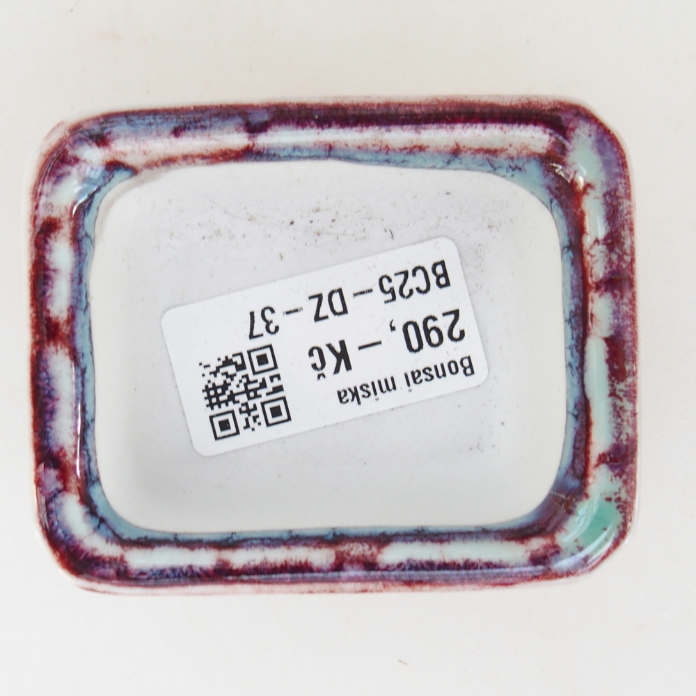 Mini bonsai 7 x 5,5 x 3 cm, bordeaux