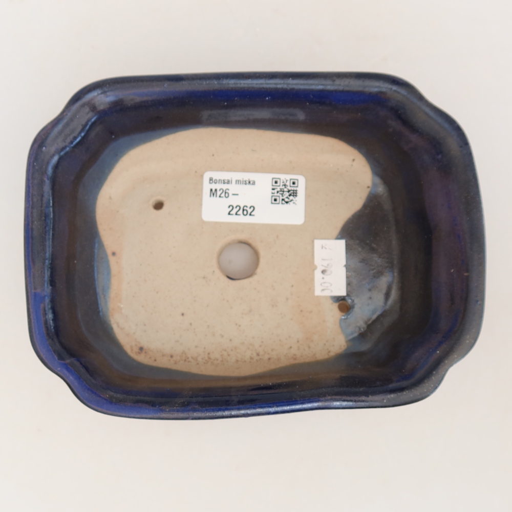 Ciotola per bonsai in ceramica 15,5 x 12 x 4,5 cm, colore blu