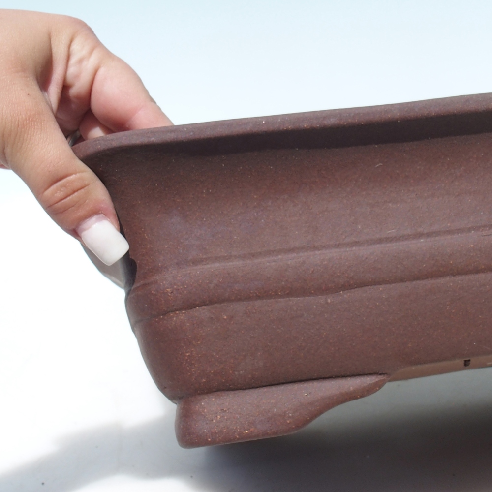 Ciotola per bonsai 39 x 32 x 10,5 cm betulla marrone