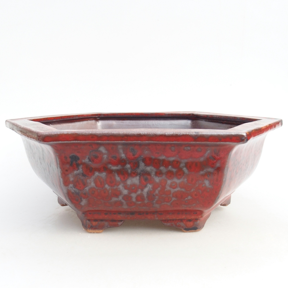 Ciotola per bonsai in ceramica 24,5 x 20 x 4 cm, colore rosso