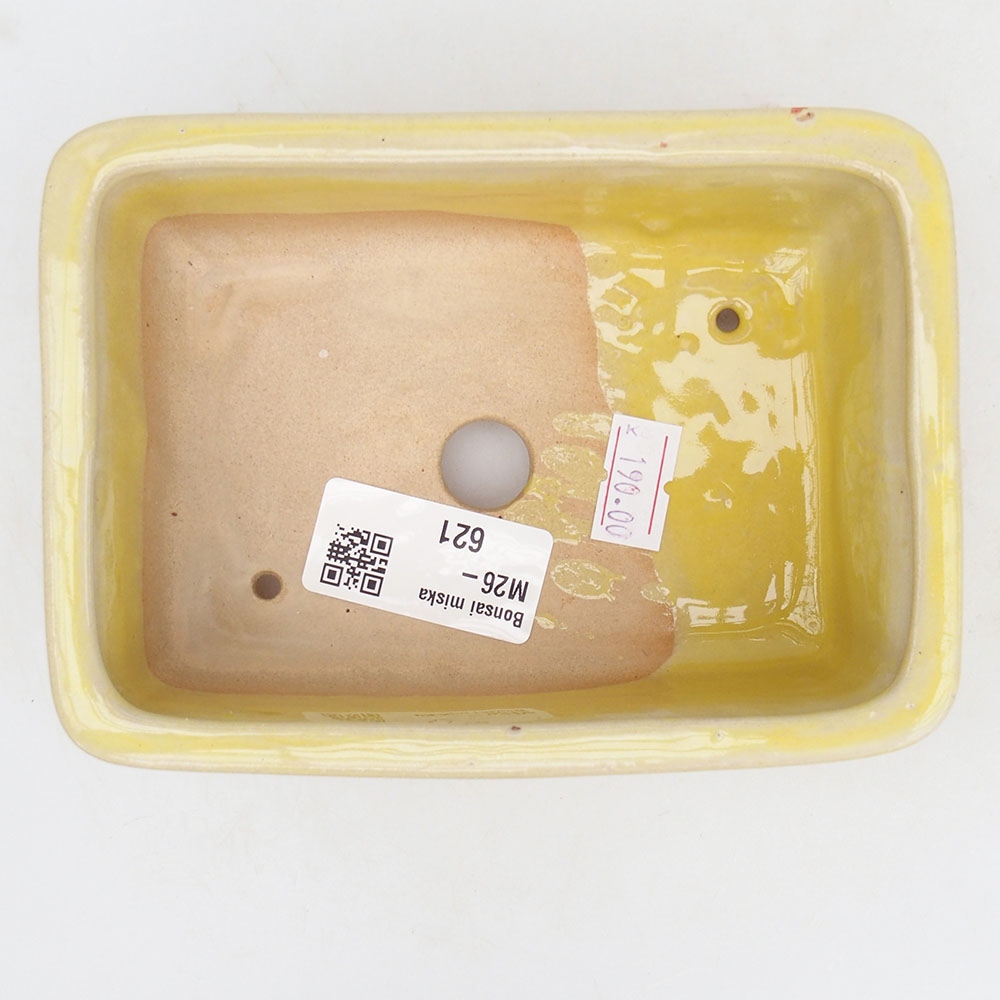 Ciotola bonsai in ceramica 13,5 x 10 x 4,5 cm, giallo