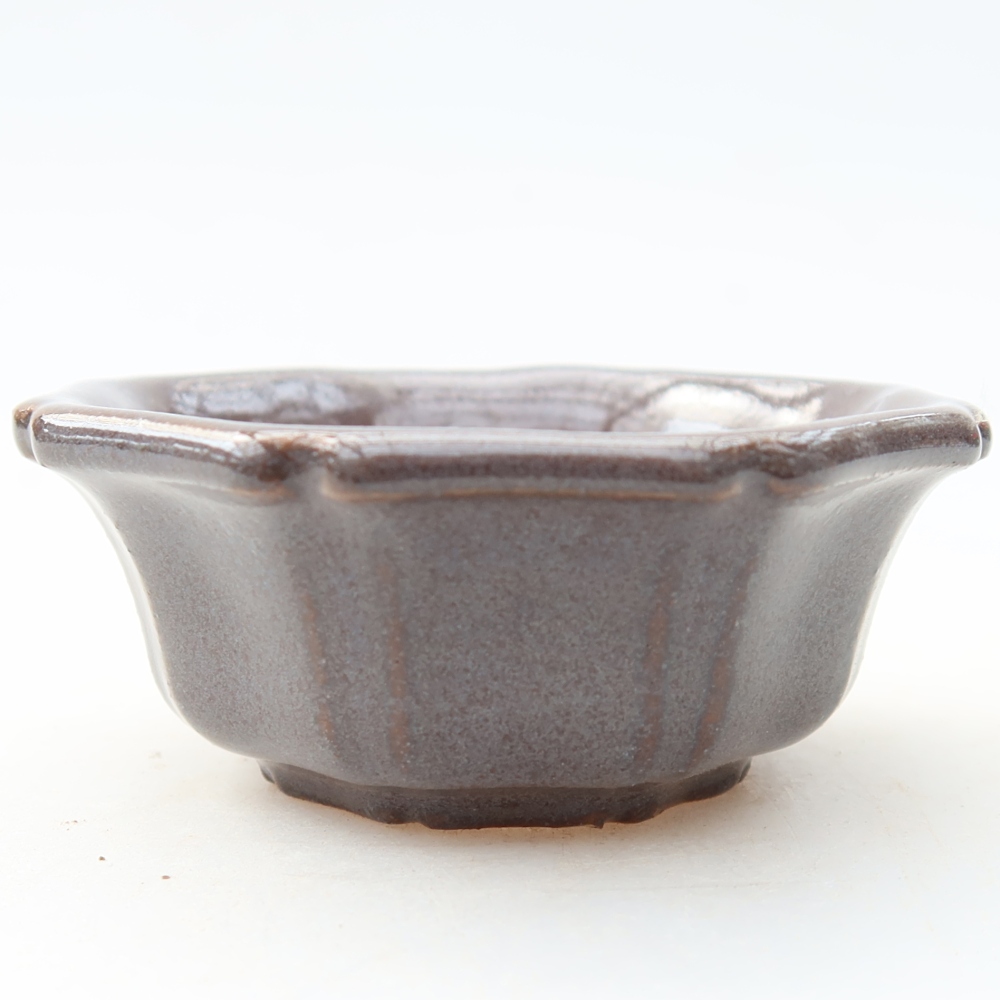 Vaso da bonsai in ceramica 6 x 6 x 2,5 cm, colore grigio