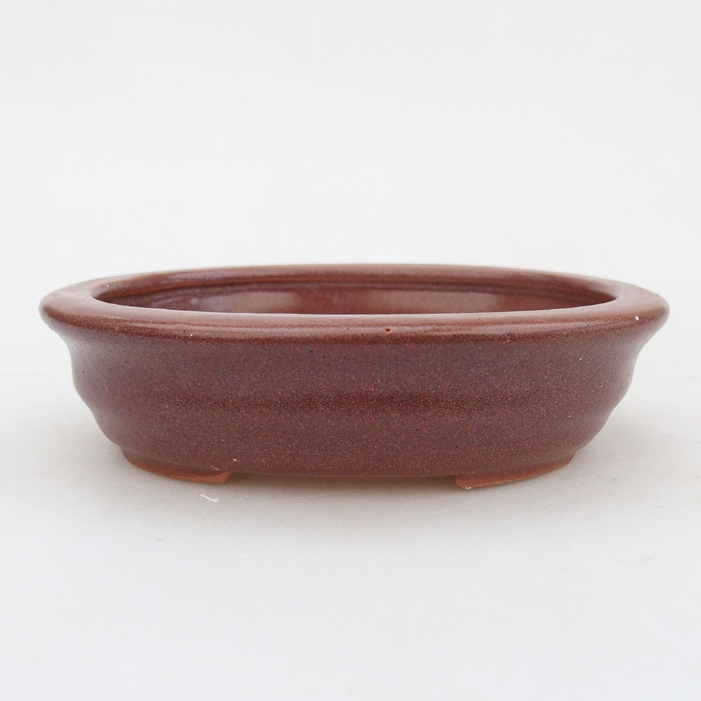 Ciotola per bonsai in ceramica 12 x 10 x 3 cm, bordeaux