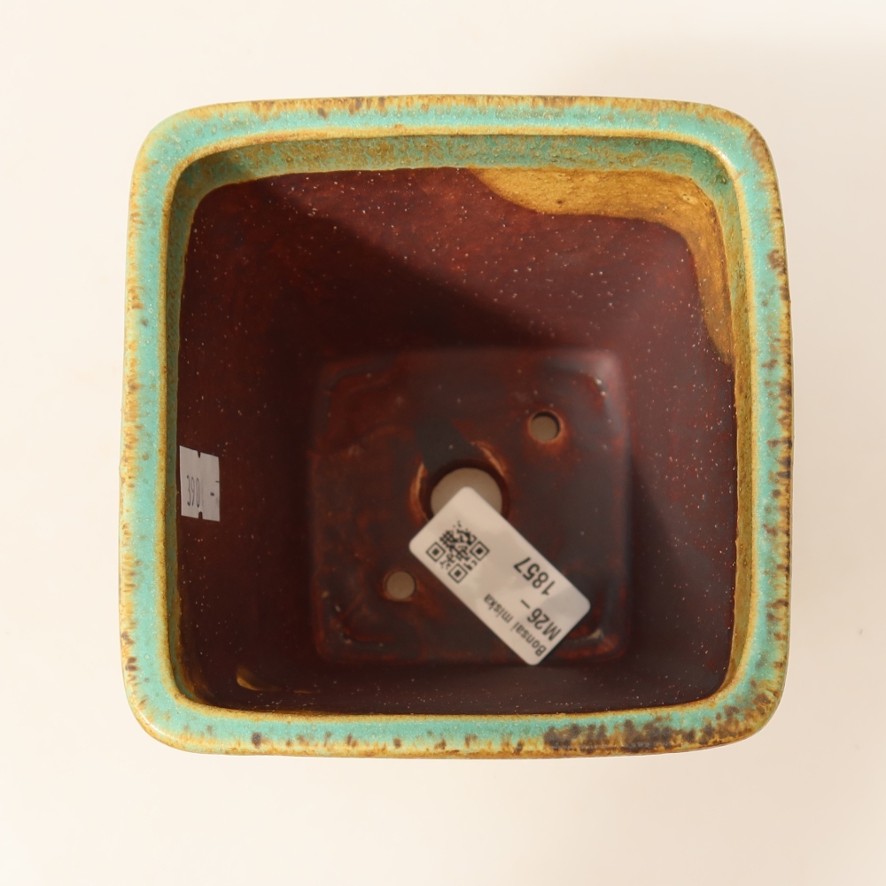 Vaso da bonsai in ceramica 10,5 x 10,5 x 12 cm, colore verde