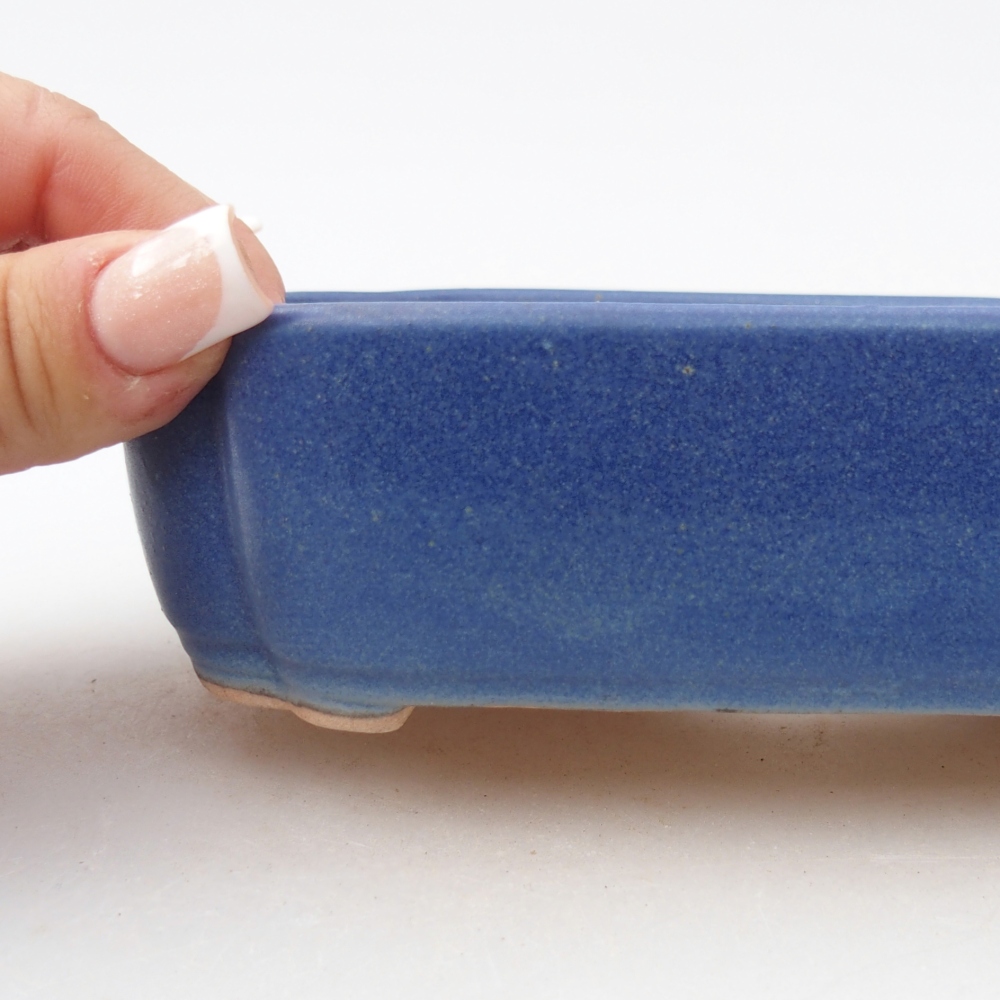 Ciotola bonsai in ceramica 16 x 11,5 x 4 cm, colore blu
