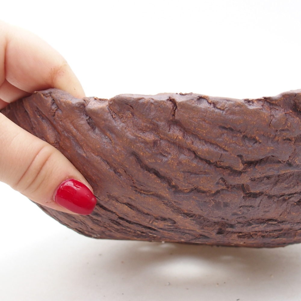 Guscio in ceramica 19,5 x 18 x 6,5 cm , colore marrone