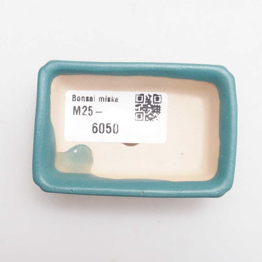 Ciotola bonsai in ceramica 6,5 x 5,5 x 4 cm, colore blu