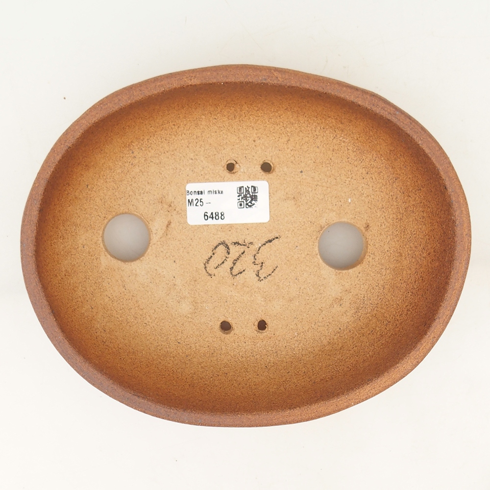 Ciotola per bonsai 20 x 16 x 6 cm , colore marrone