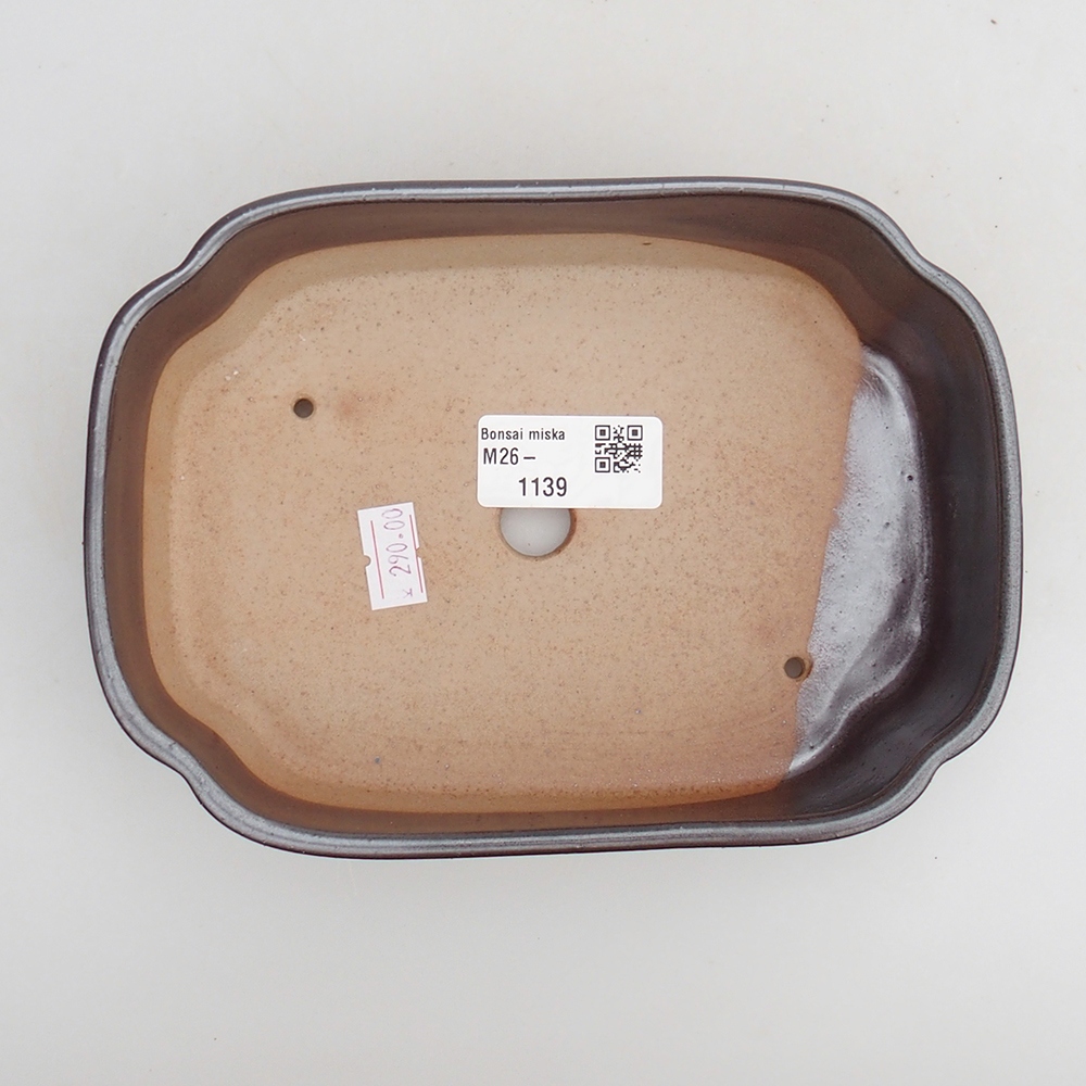 Ciotola per bonsai in ceramica 18 x 13 x 5 cm, marrone