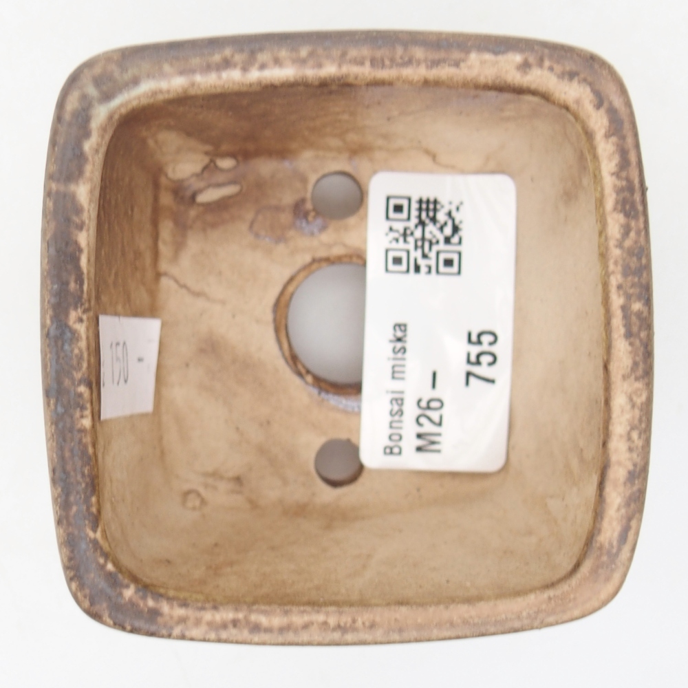 Ciotola per bonsai in ceramica 6 x 6 x 4,5 cm, verde