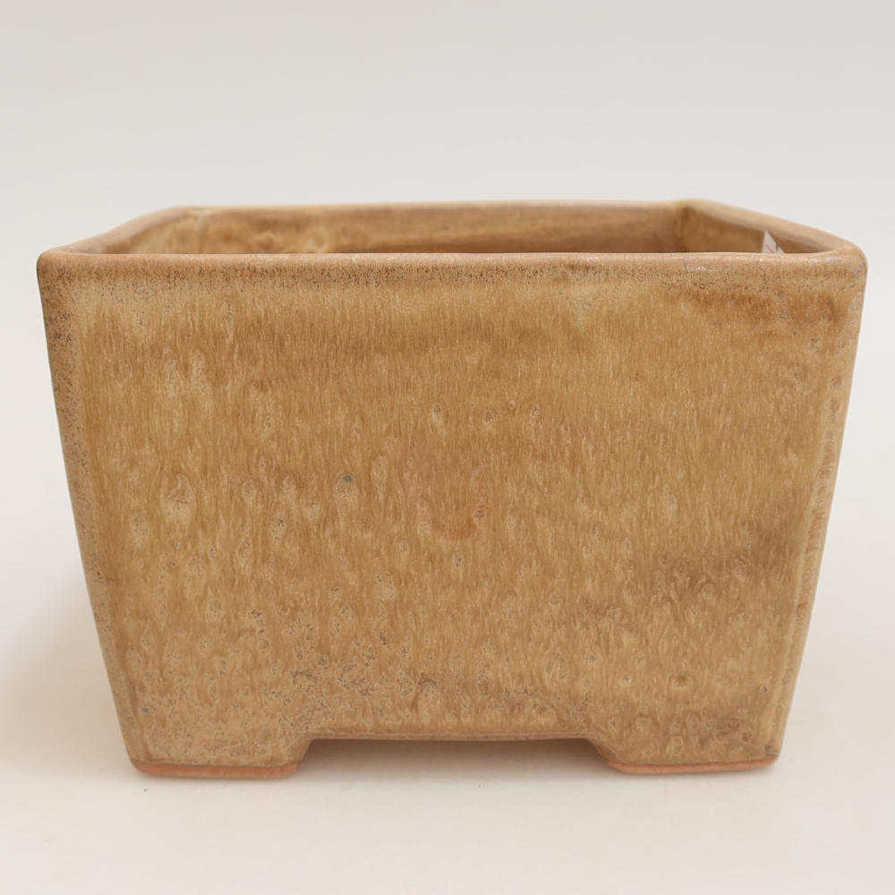 Vaso da bonsai in ceramica 15 x 15 x 10,5 cm, colore beige