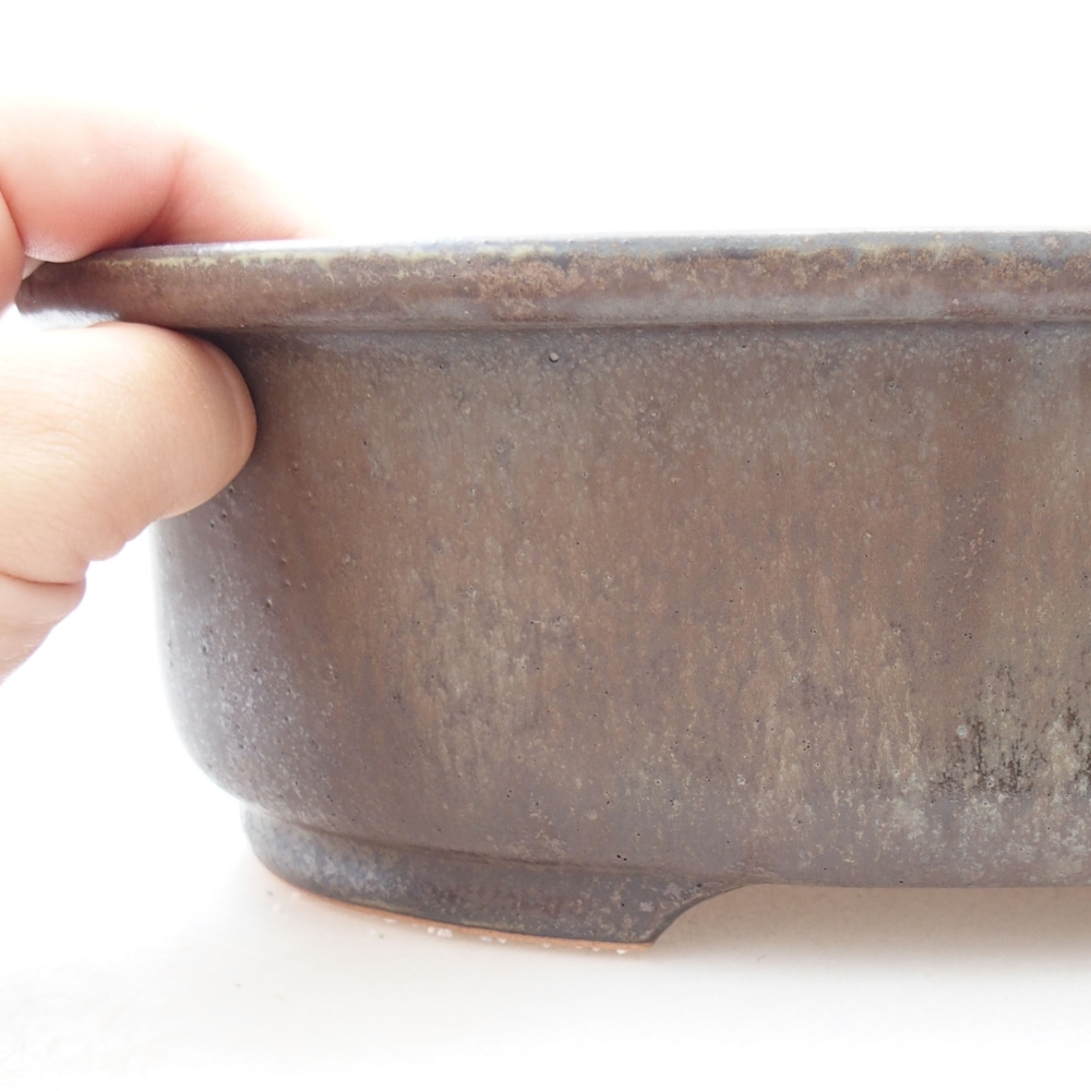 Ciotola per bonsai in ceramica 26 x 22 x 8 cm, marrone