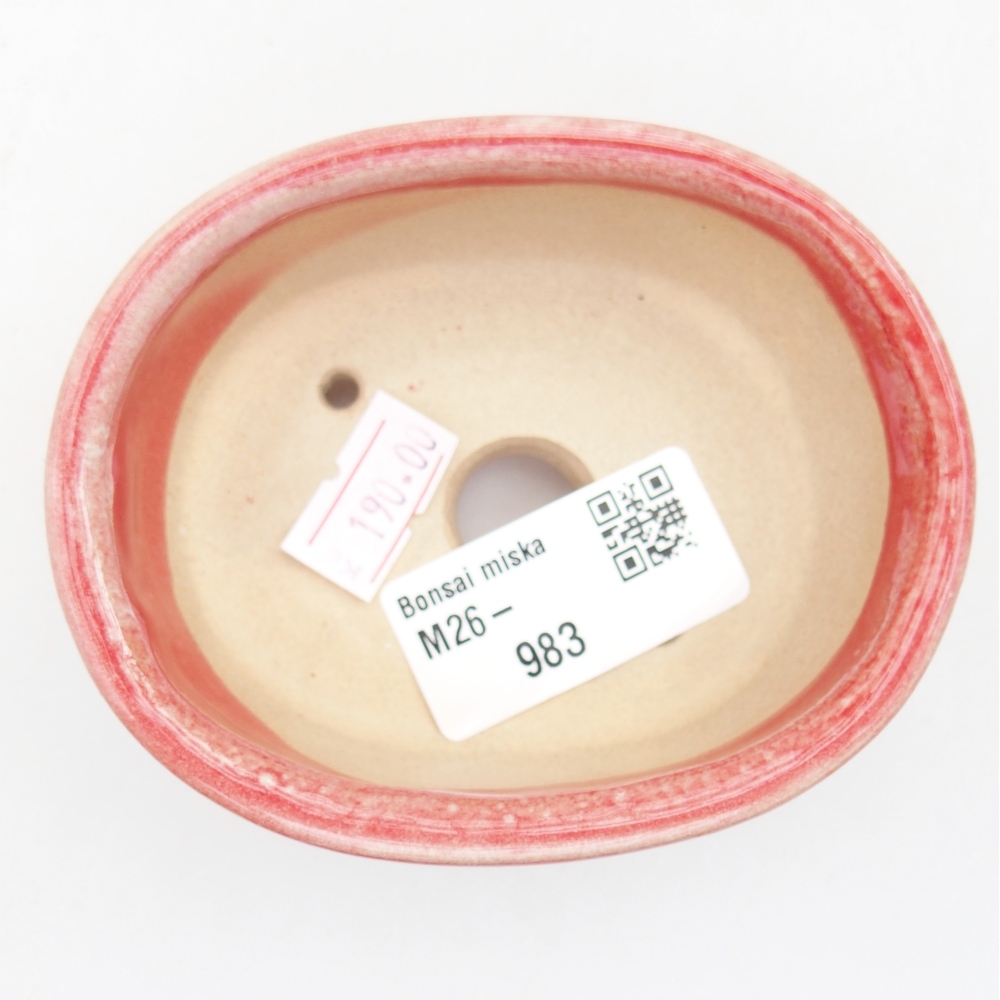 Ciotola per bonsai in ceramica 9 x 7,5 x 3,5 cm, colore rosso