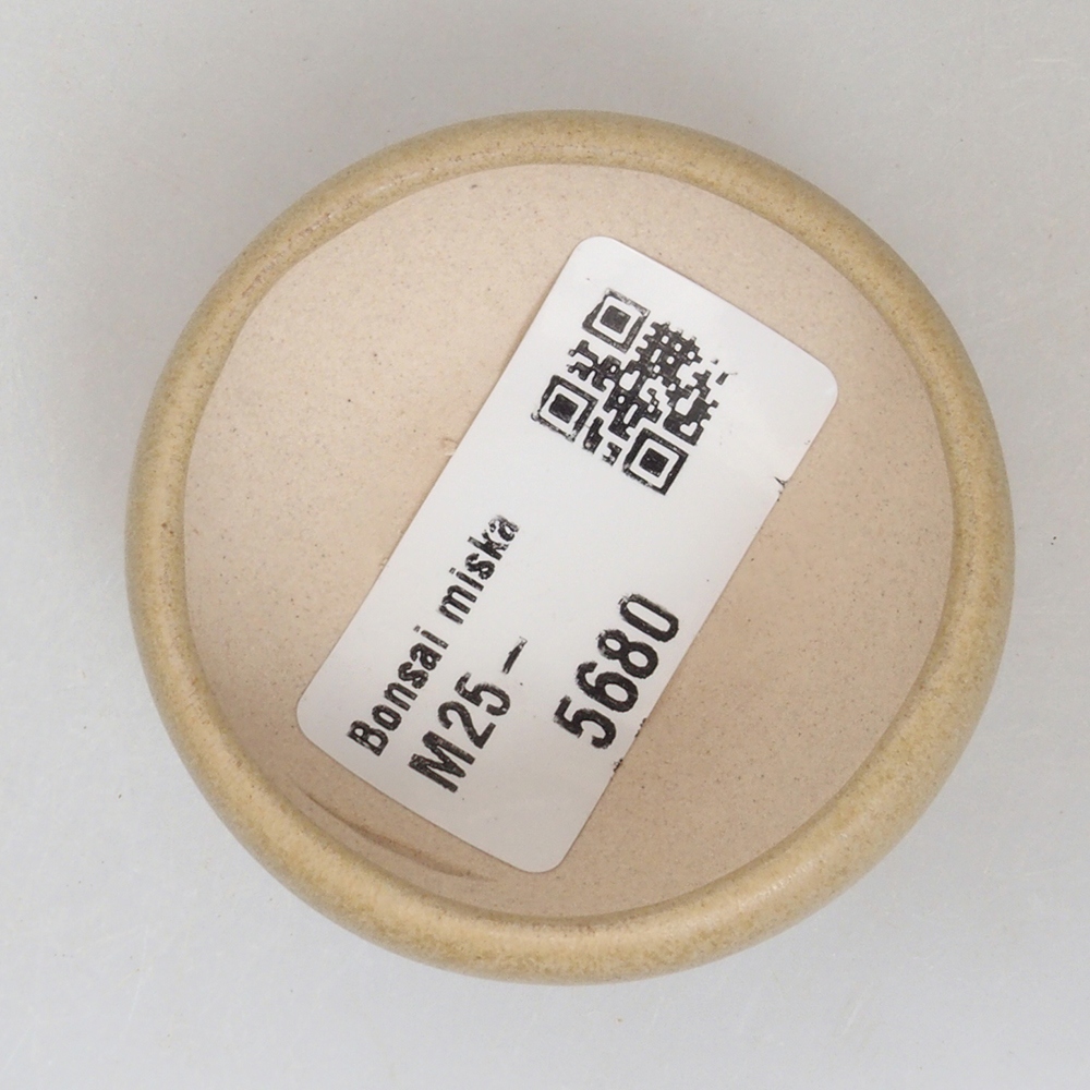 Ciotola per mini bonsai 5 x 5 x 2 cm, marrone