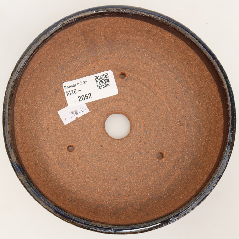 Ciotola per bonsai in ceramica 15,5 x 15,5 x 5 cm, marrone