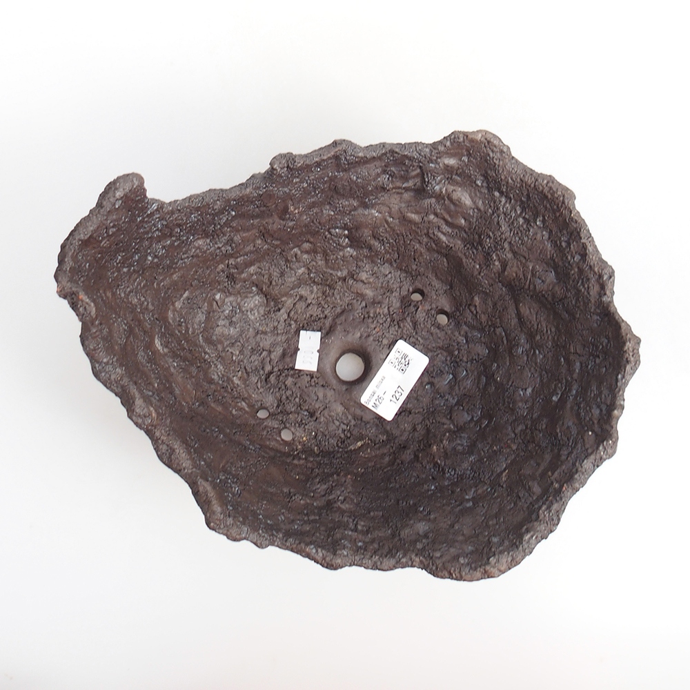 Conchiglia in ceramica 23 x 20 x 18 cm , colore marrone