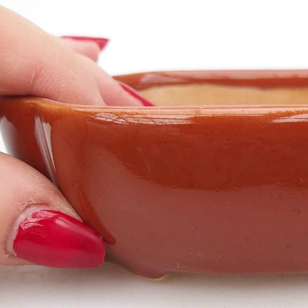 Ciotola per bonsai in ceramica 125 x 10 x 3 cm, marrone