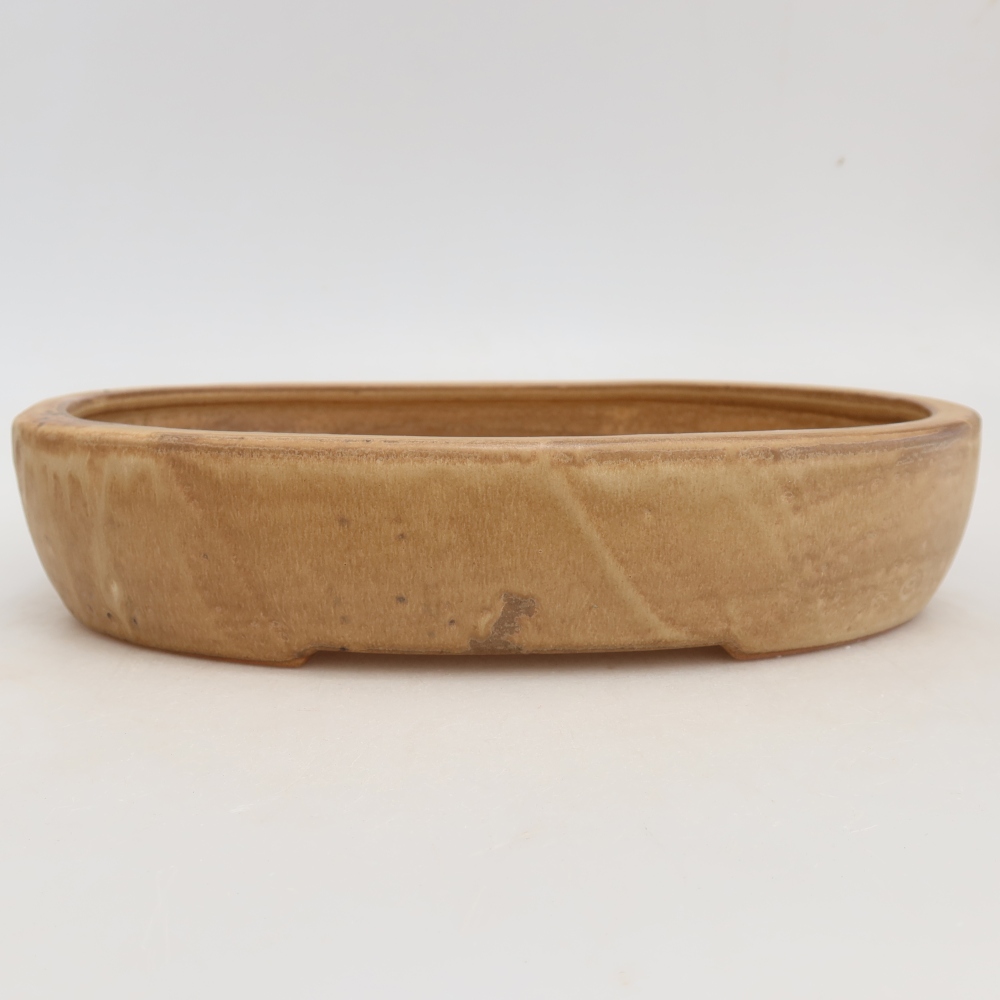 Ciotola bonsai in ceramica 27 x 21 x 5,5 cm, colore beige