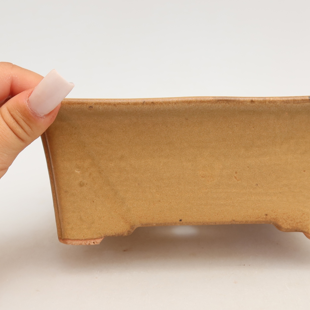 Vaso da bonsai in ceramica 18 x 14 x 7 cm, colore beige