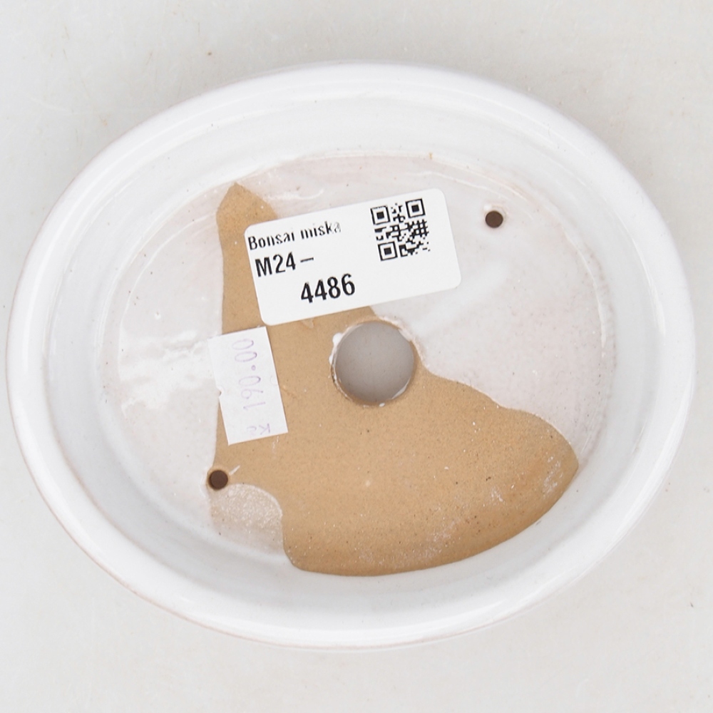 Ciotola per bonsai in ceramica 13 x 11 x 2,5 cm, colore bianco