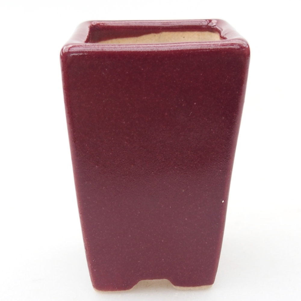 Mini bonsai 3,5 x 3,5 x 5 cm, colore bordeaux