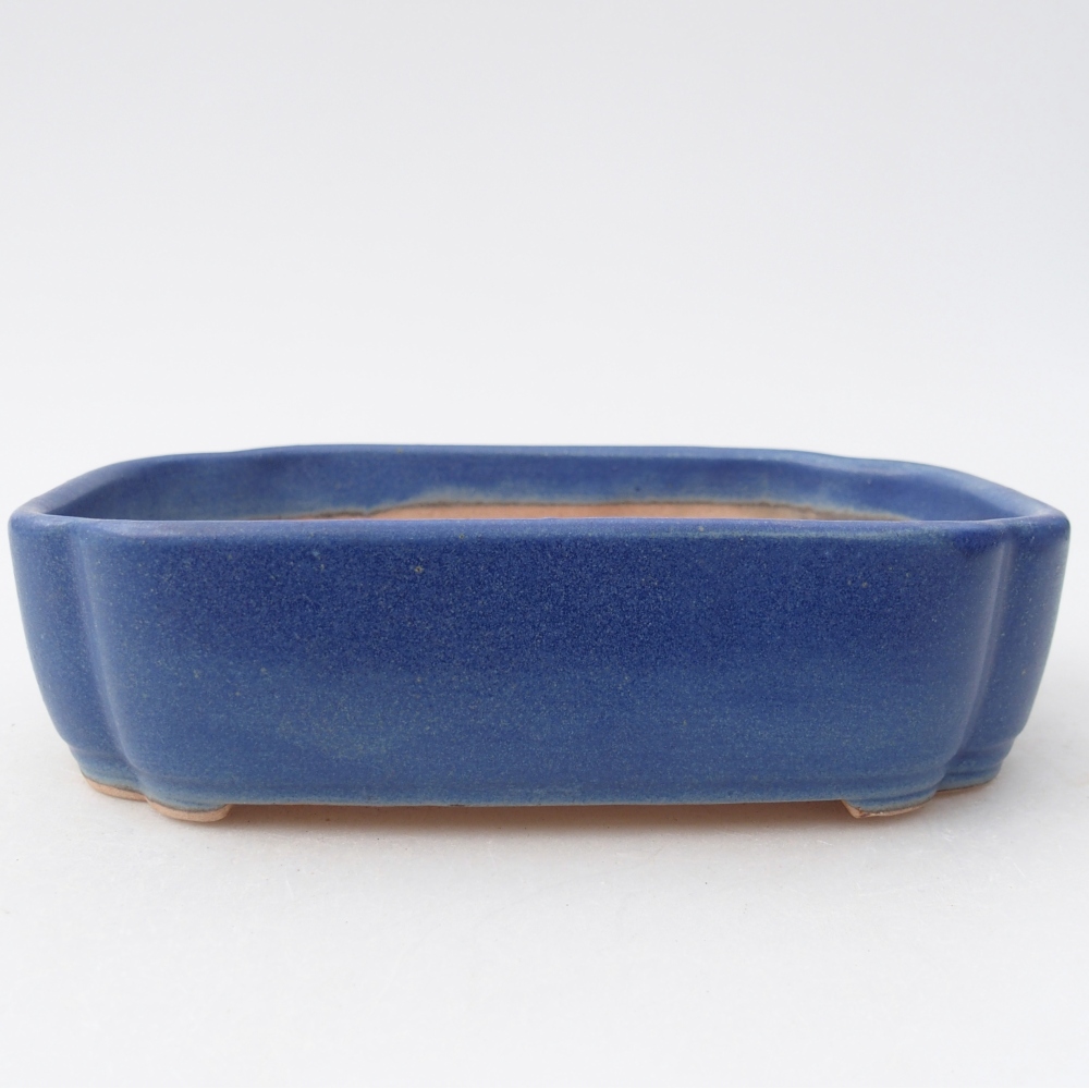 Ciotola bonsai in ceramica 16 x 11,5 x 4 cm, colore blu
