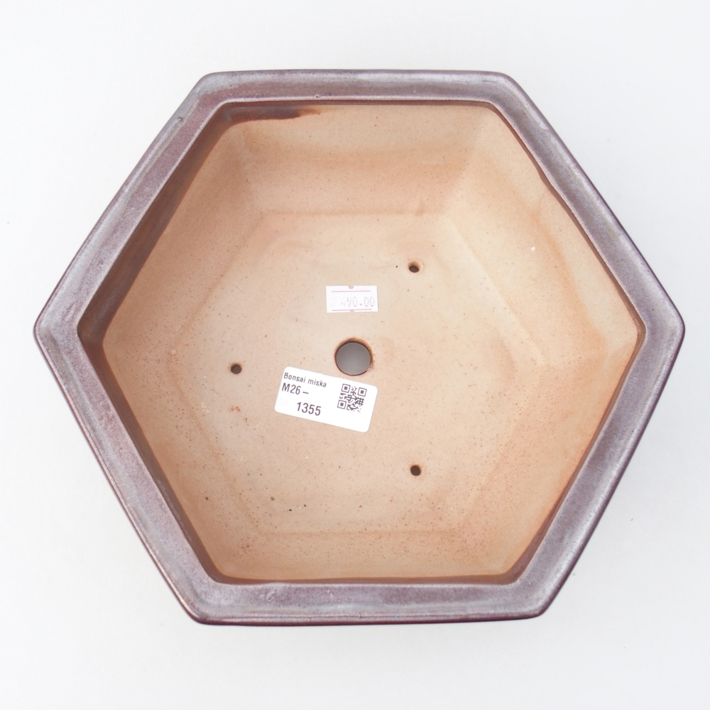 Ciotola bonsai in ceramica 24 x 21 x 7,5 cm, colore bordeaux