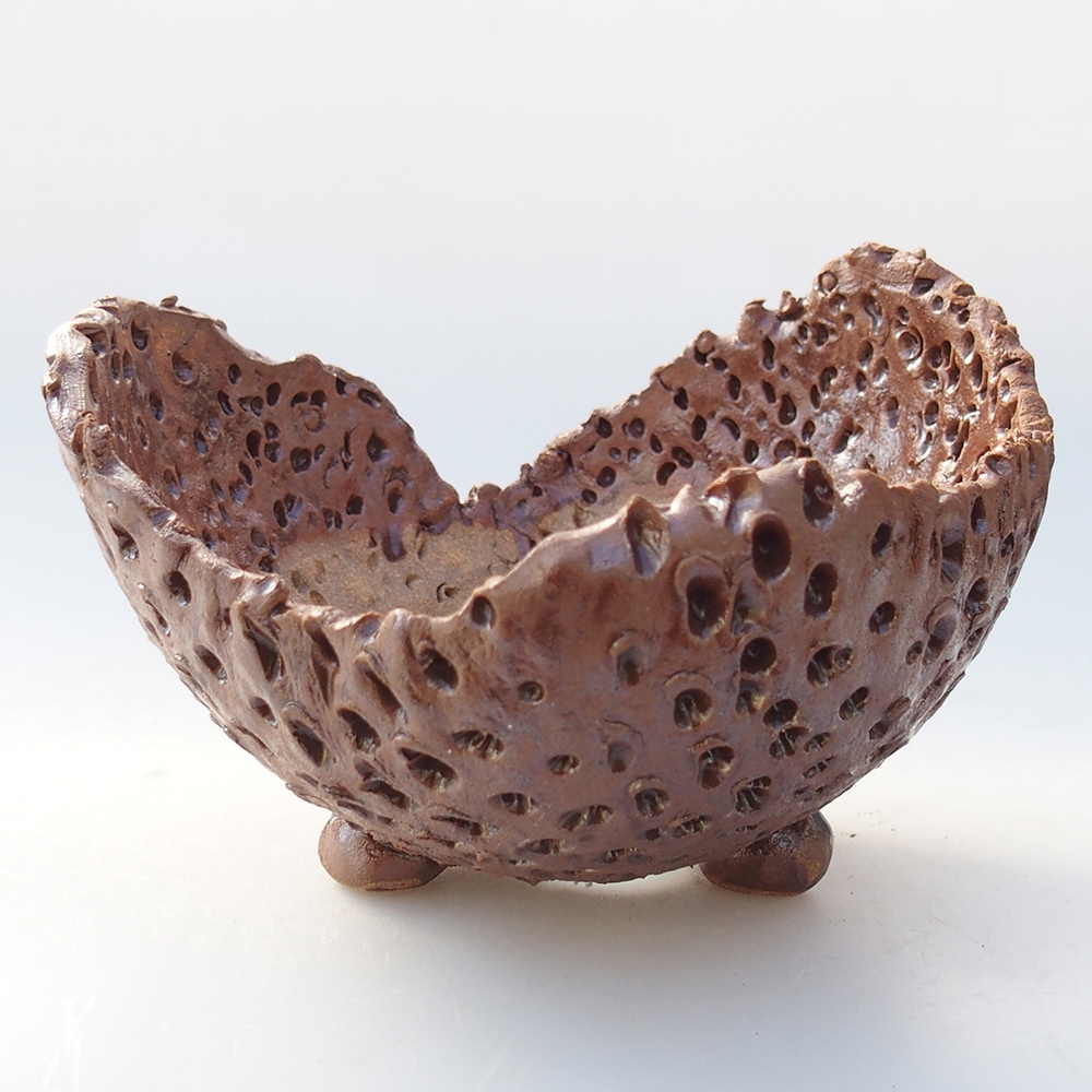 Conchiglia in ceramica 12,5 x 12,5 x 9 cm , colore marrone
