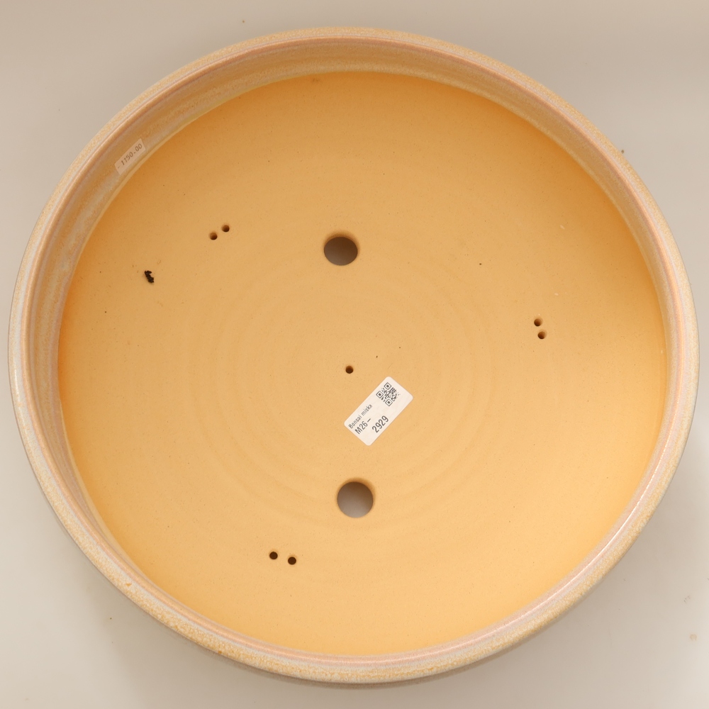 Vaso da bonsai in ceramica 35 x 35 x 11 cm, colore beige - SOLO RITIRO IN NEGOZIO o spedizione su pallet