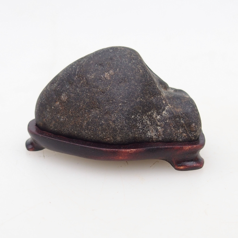 Suiseki - Pietra con DAI (base in legno)