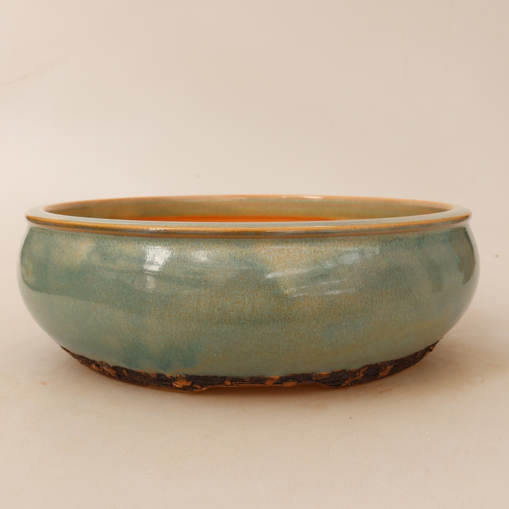 Vaso da bonsai in ceramica 23,5 x 23,5 x 7,5 cm, colore verde