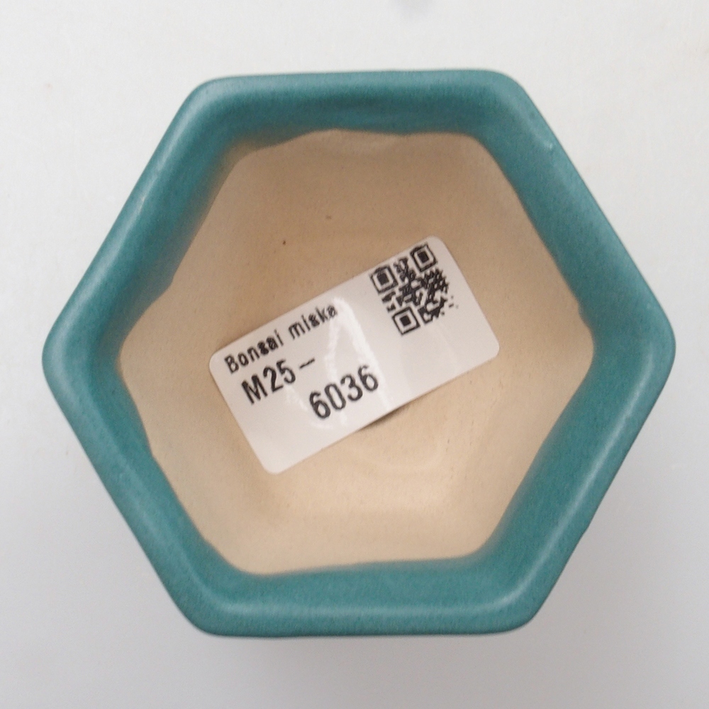 Ciotola bonsai in ceramica 6,5 x 5,5 x 4 cm, colore blu