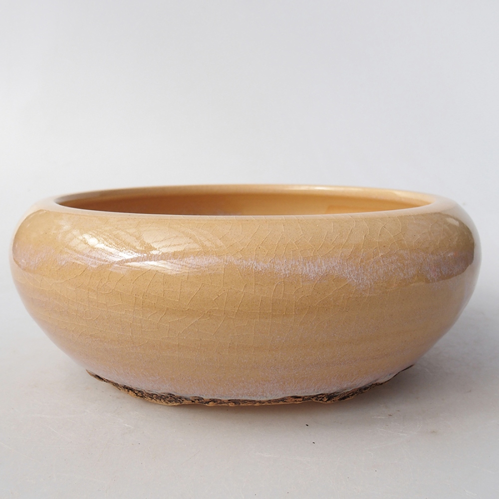 Ciotola per bonsai in ceramica 18 x 18 x 6 cm, colore beige