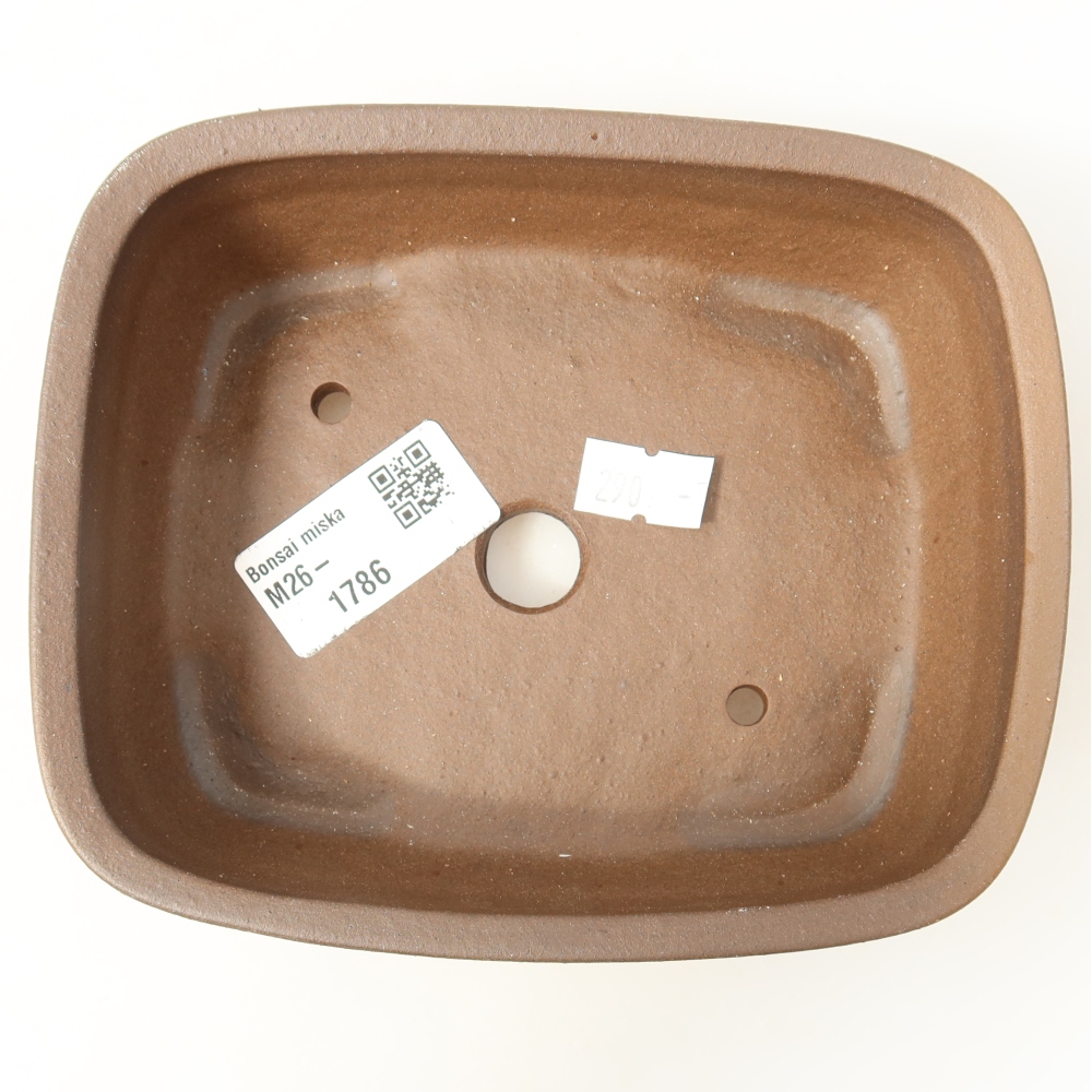 Vaso da bonsai in ceramica 14,5 x 11,5 x 4,5 cm, colore marrone