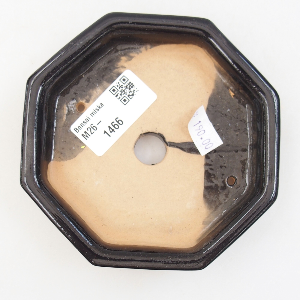 Ciotola per bonsai in ceramica 11,5 x 11,5 x 2 cm, colore nero