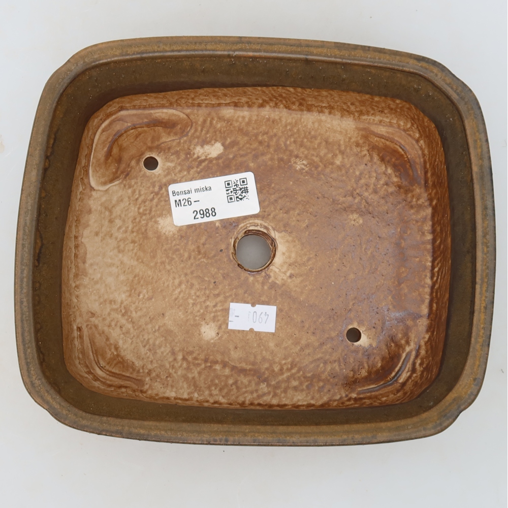 Vaso da bonsai in ceramica 20 x 17,5 x 6 cm, colore marrone