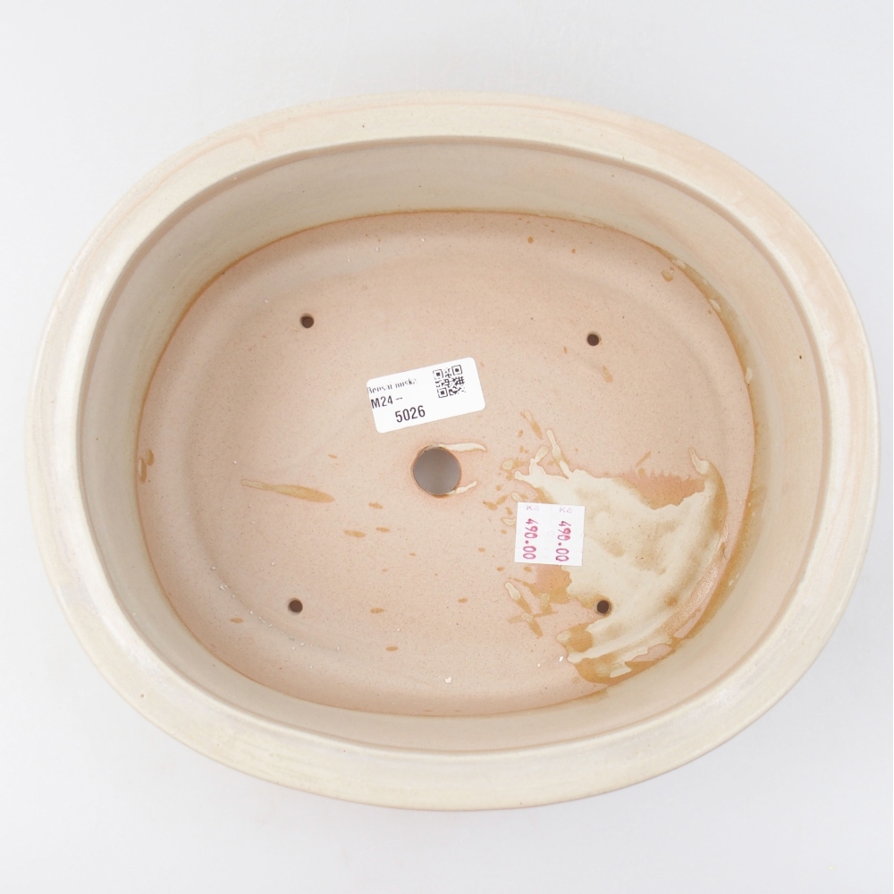 Ciotola bonsai in ceramica 26 x 22 x 8 cm, colore beige