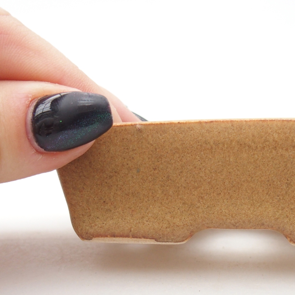 Mini bonsai 8 x 6 x 2,5 cm, marrone