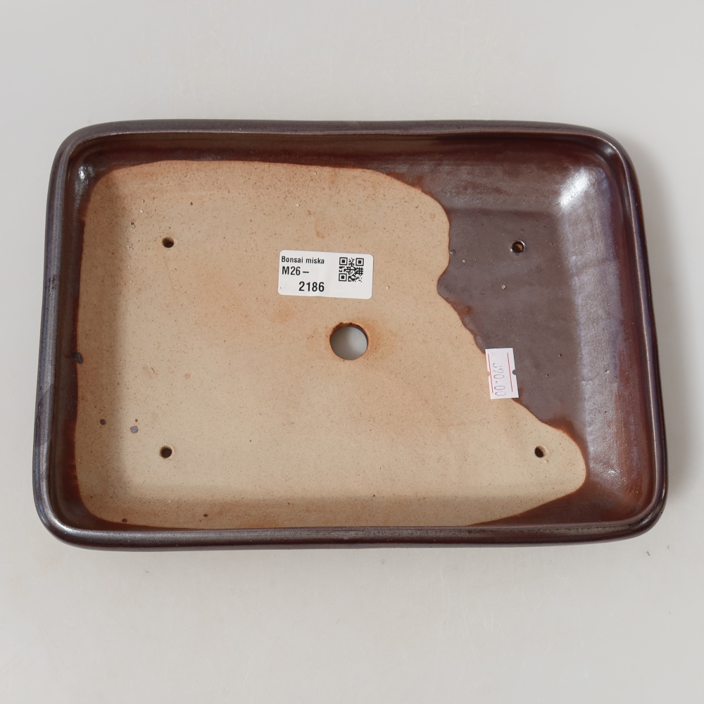 Ciotola bonsai in ceramica 24 x 17,5 x 4 cm, colore metallo