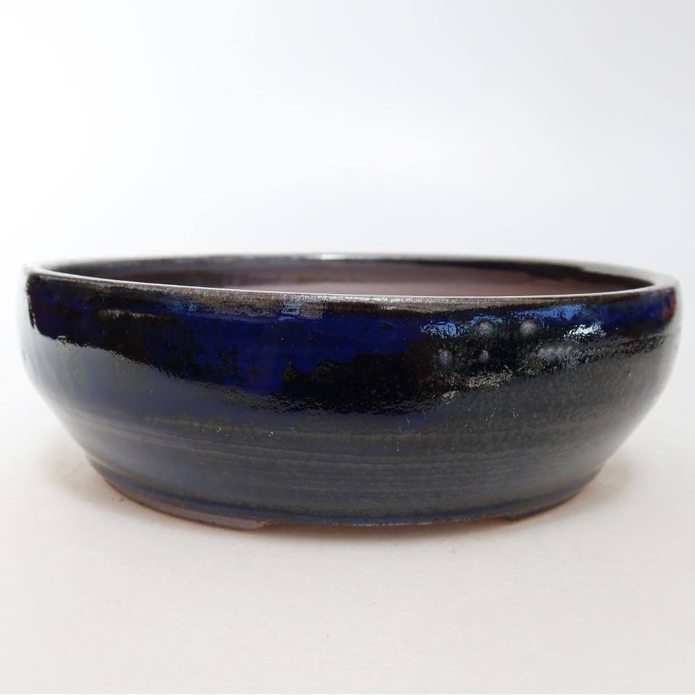 Ciotola bonsai in ceramica 18 x 18 x 5,5 cm, colore blu