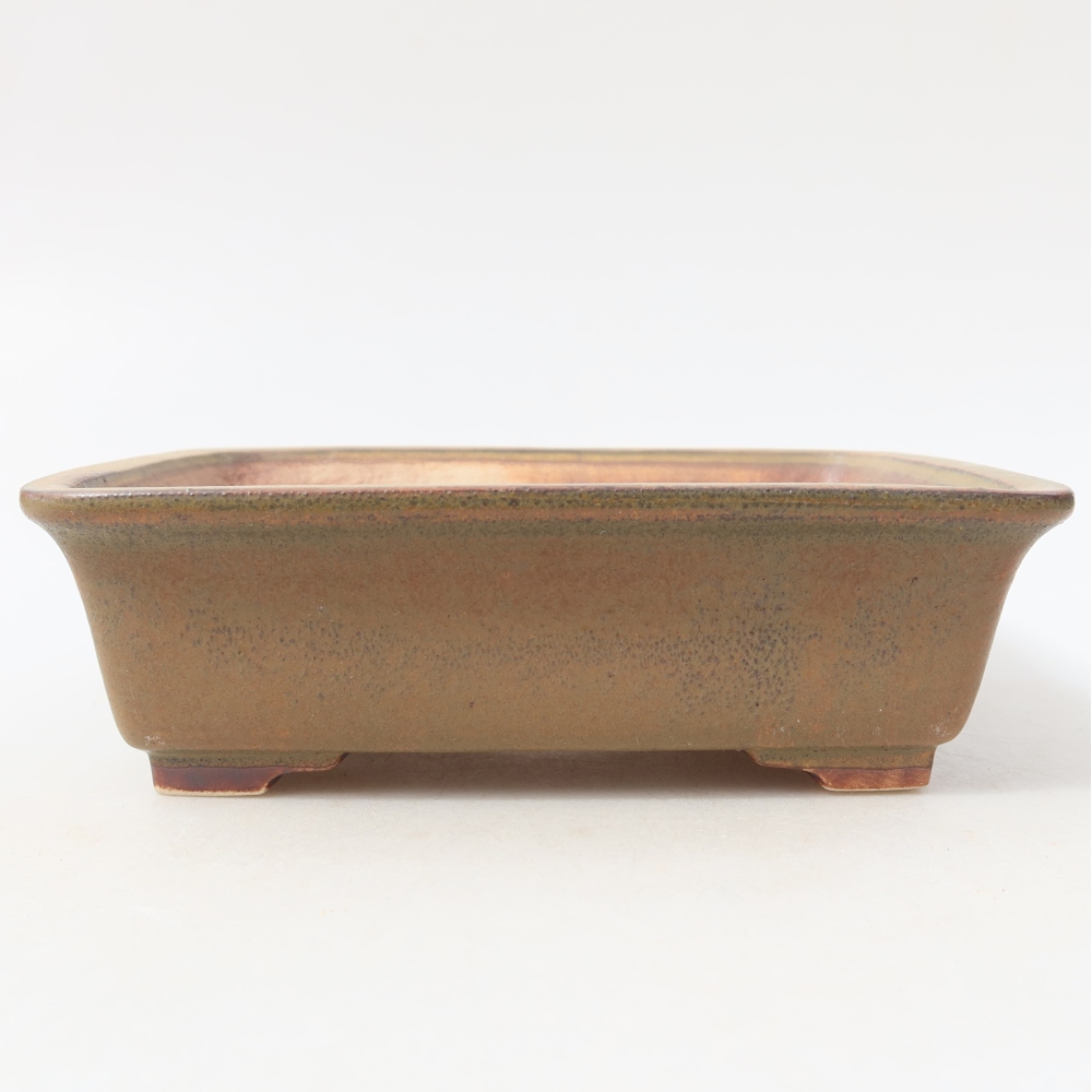 Ciotola per bonsai in ceramica 17,5 x 14,5 x 5,5 cm, marrone