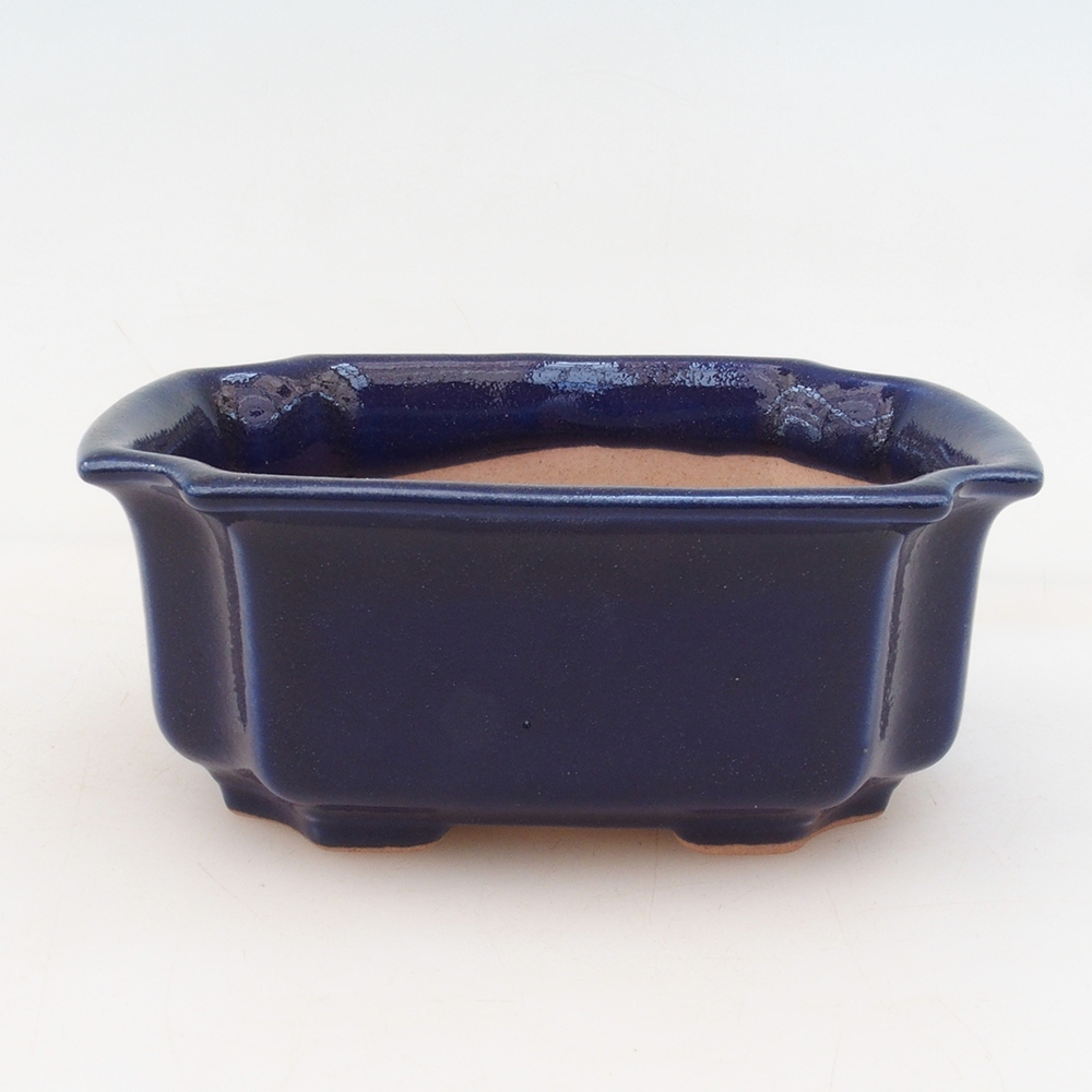 Ciotola bonsai + piattino H01 - blu